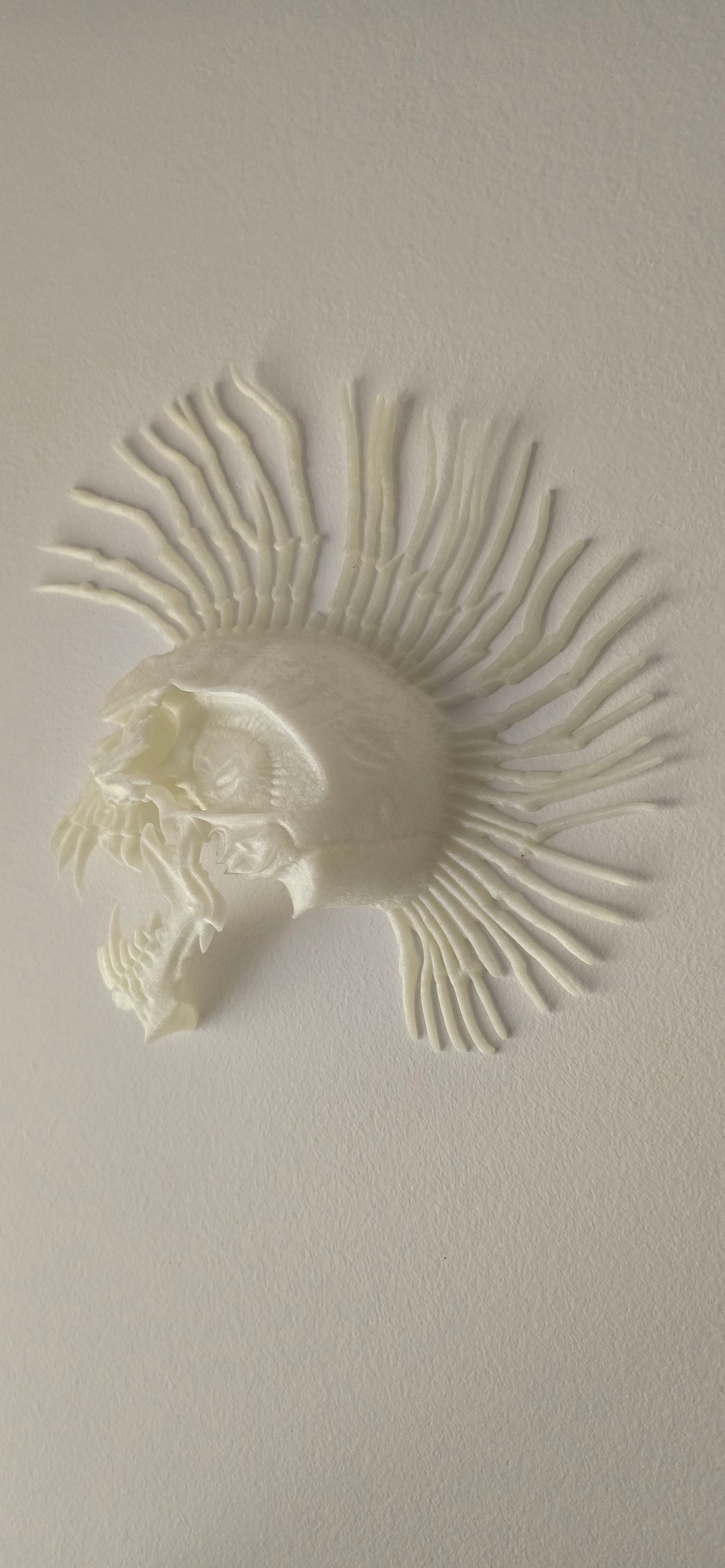 Bone Riot Skull | Punk Mohawk Wall Art