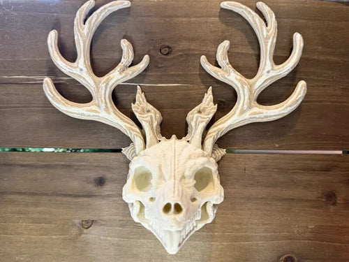 Whitehorn Jackalope Skull | Gothic Antler Wall Relic